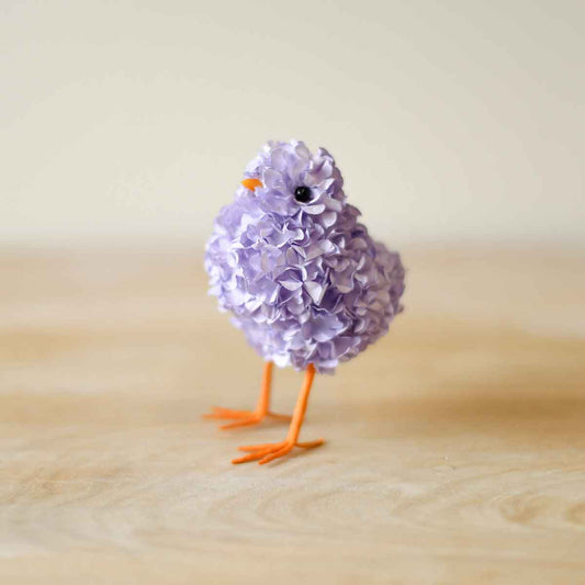Hydrangea Chick TRS