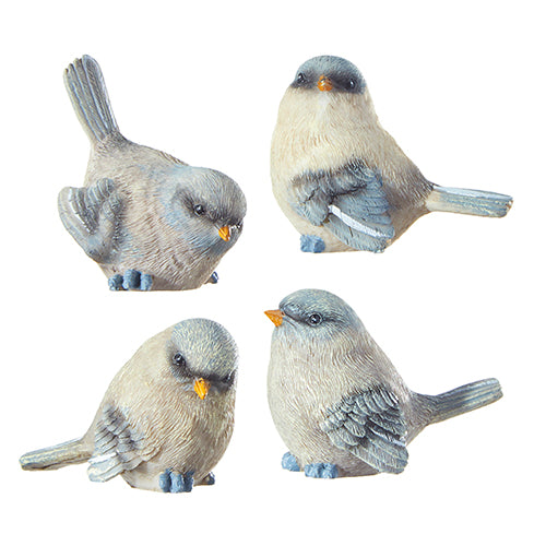 4900 2.5" Bird RAZ