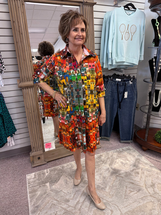 S038 Chatham Doors Print Dress DIZ