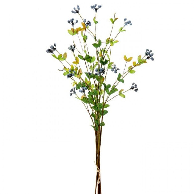 2427 Blueberry Bundle RIB