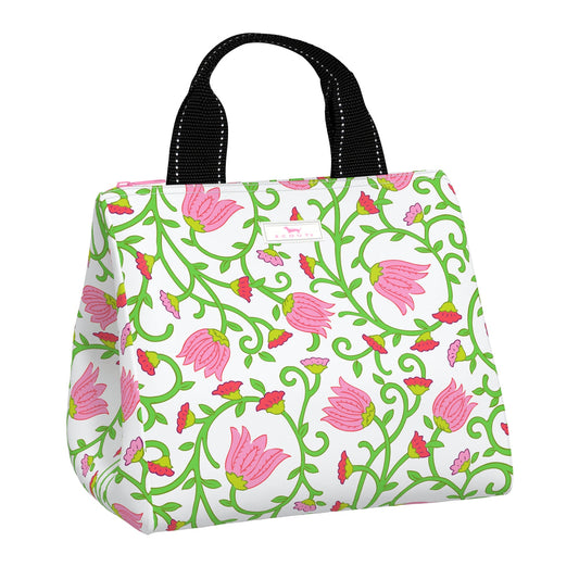 9362 Eloise Late Bloomer SCT