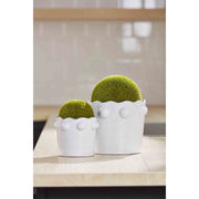 0050L LG Moss Pot MPC
