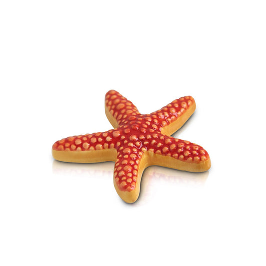 Nora Fleming Sea Star Mini NFC