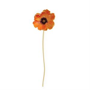 3423 Orange Poppy Bundle KKI