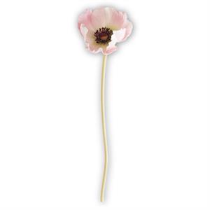 3423 Pink Poppy Bundle KKI