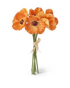 3423 Orange Poppy Bundle KKI