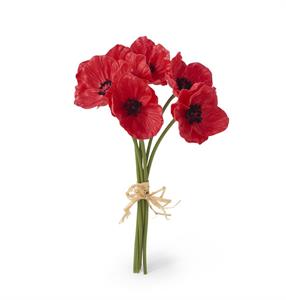 3423 11" Red Poppy Bundle KKI