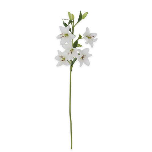 9443 White Lily Stem KKI