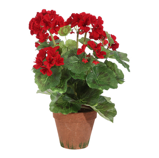 2227 9" Geranium RAZ