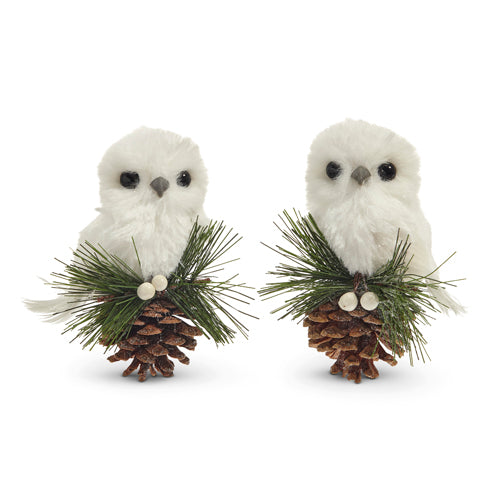 3468 4.5" White Owl RAZ