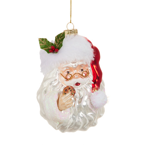 2891 5" Santa with Cookie Orn
