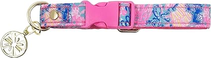 Small Dog Collar LGP