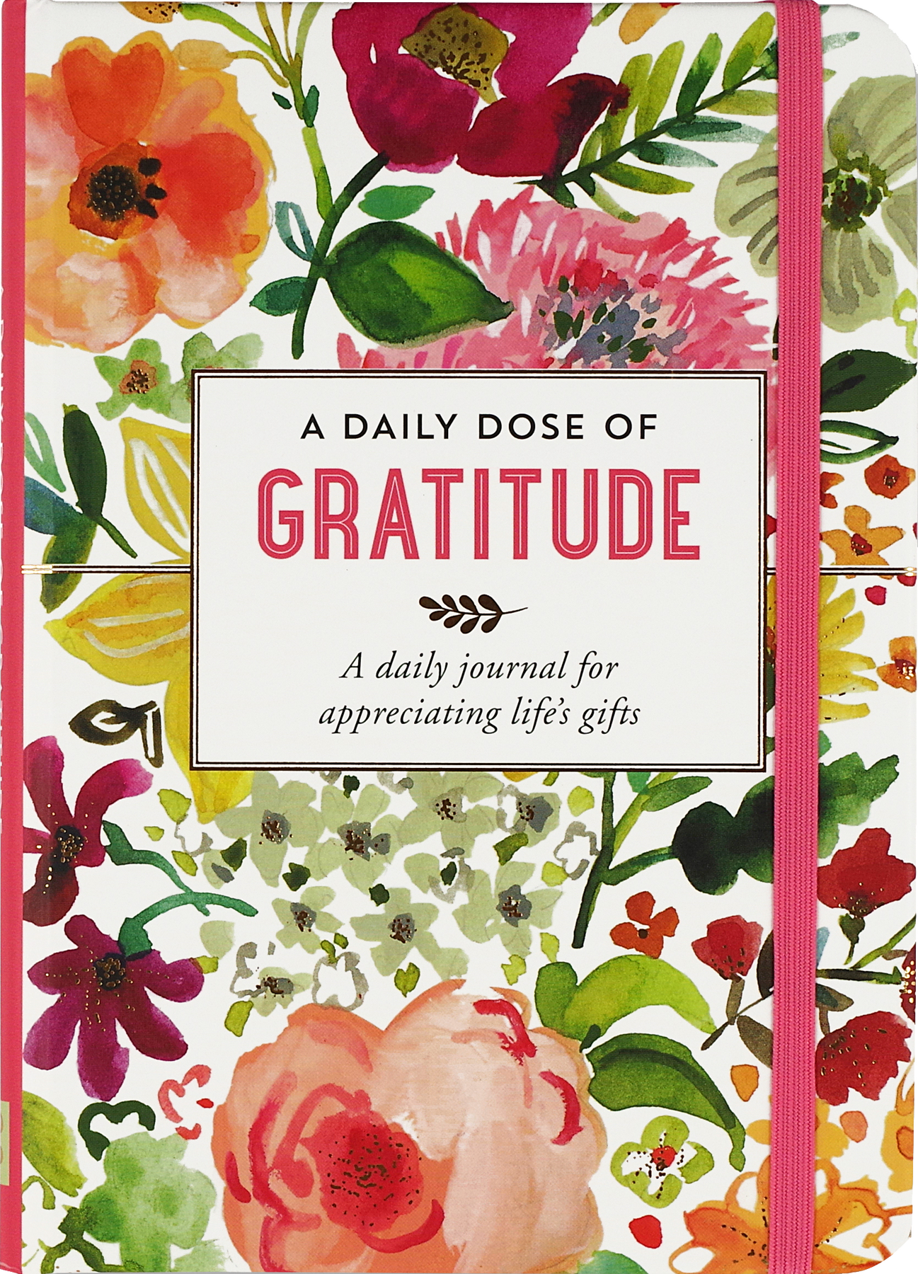 9455 Daily Dose of Gratitude PPP