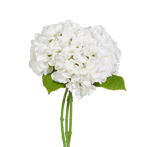 2677 13" White Hydrangea RAZ