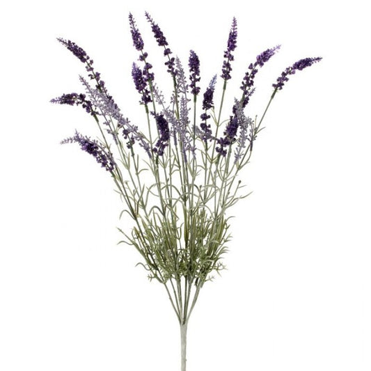 0991 English Lavender RIB