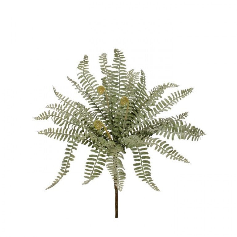 3824 Fern Bush RIB