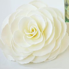 A'marie's Graceful Day Gardenia